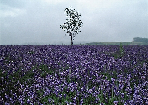 北海道ツーリング20002