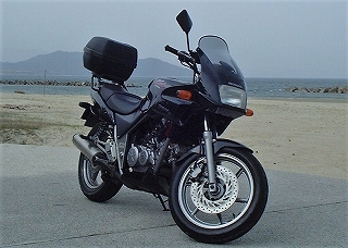 xelvis29