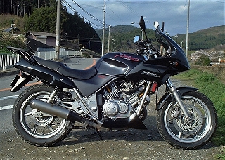 xelvis31
