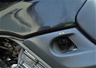 xelvis36