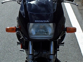 xelvis28