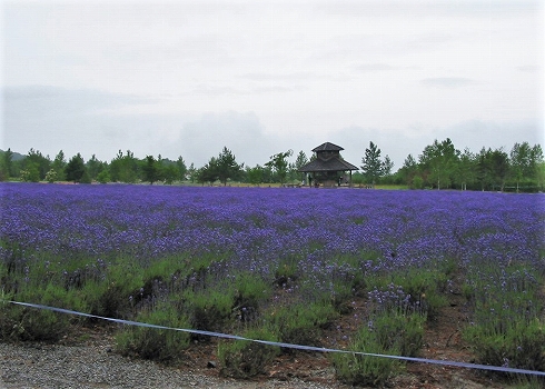 北海道ツーリング2002夏02