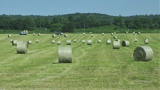 牧草ロールカゴ 牧草ロール | ぶらっと