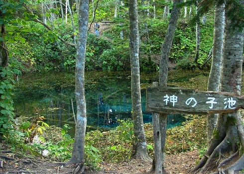 神の子池3