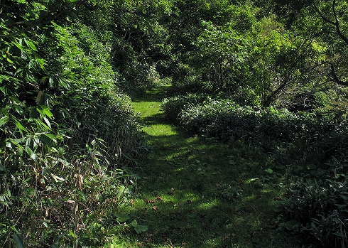 英嶺山05