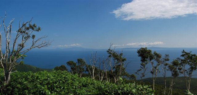 英嶺山11