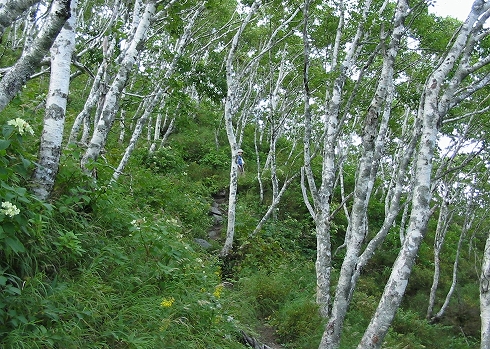 摩周岳08