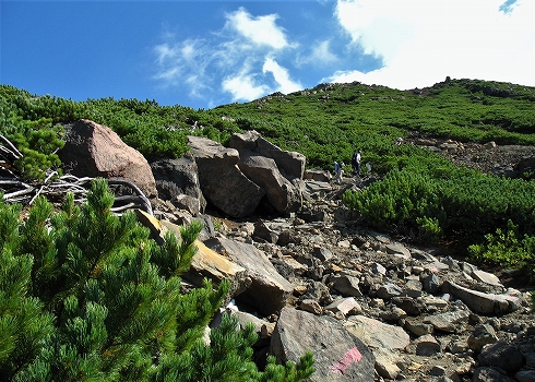 雌阿寒岳07