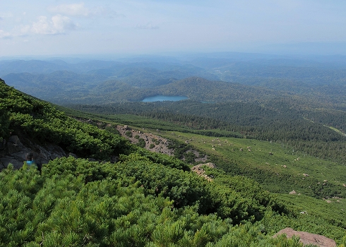 雌阿寒岳08