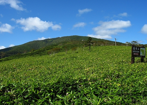 藻琴山登山02
