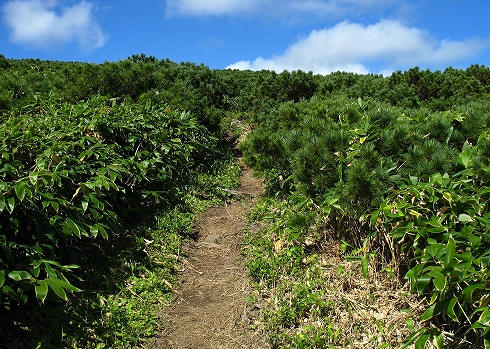 藻琴山登山04