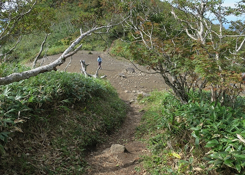 藻琴山登山07