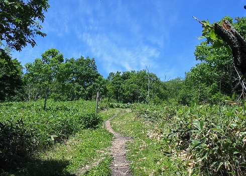 西別岳04