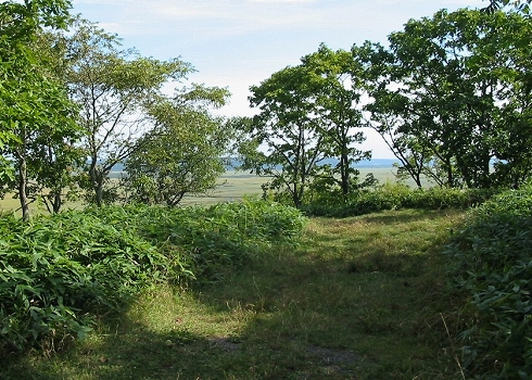 宮嶋岬5