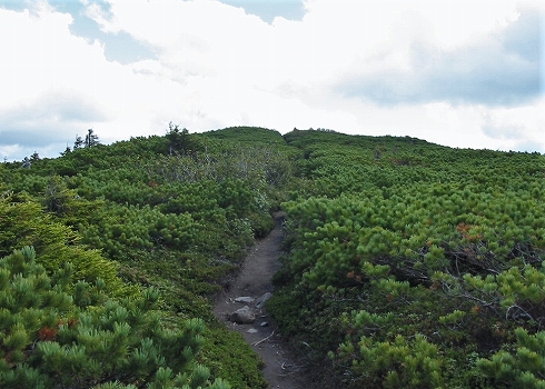 雄阿寒岳09