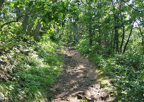 下赤岩山3