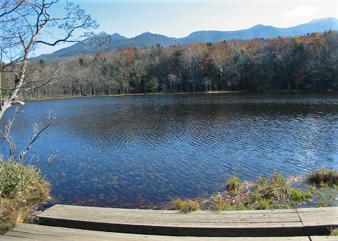 知床八景10