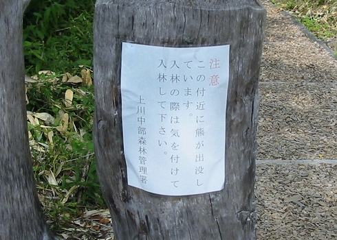 浮島湿原11