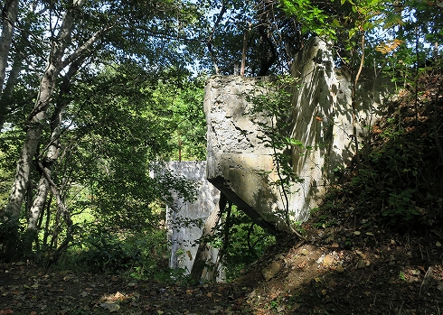 鴻紋軌道06