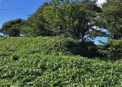 浅茅野飛行場10