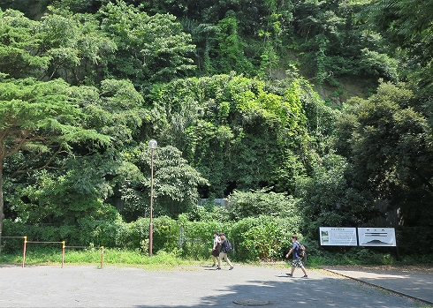 野島掩体壕26