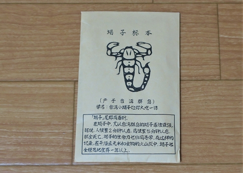 カレーや黒魔術8