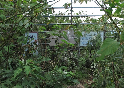 神威岬9