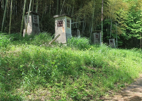 こどもの国14