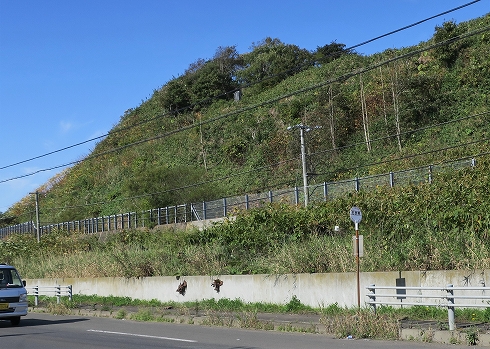 石炭岬3