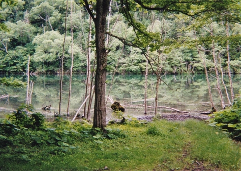 湯沼2