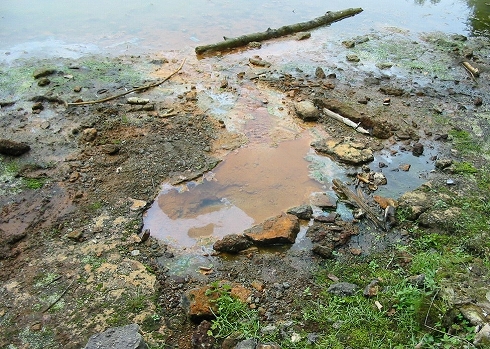 湯沼5