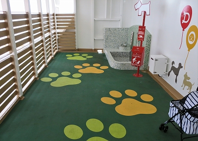 さんふらわあふらの31