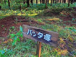 バッタ塚01