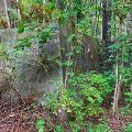 帯広第１飛行場01
